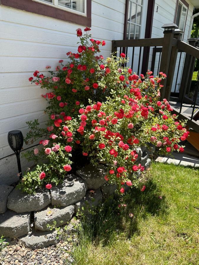 Cozy Cottage House B With Double Carport Туин Фолс Екстериор снимка